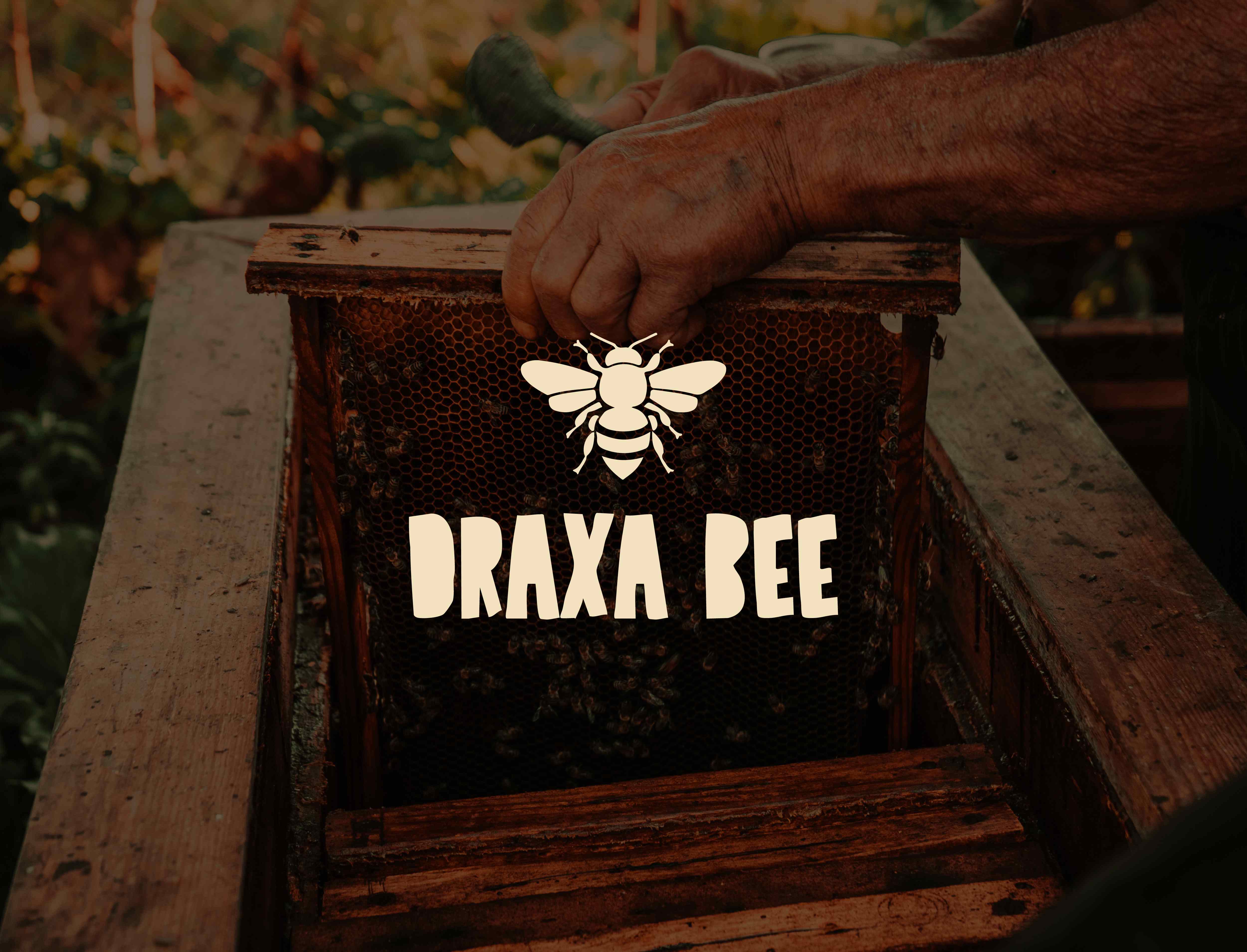 Biele logo DRAXA BEE so symbolom včely a výraznou typografiou na fotografii dreveného úľa s včelím plástom.