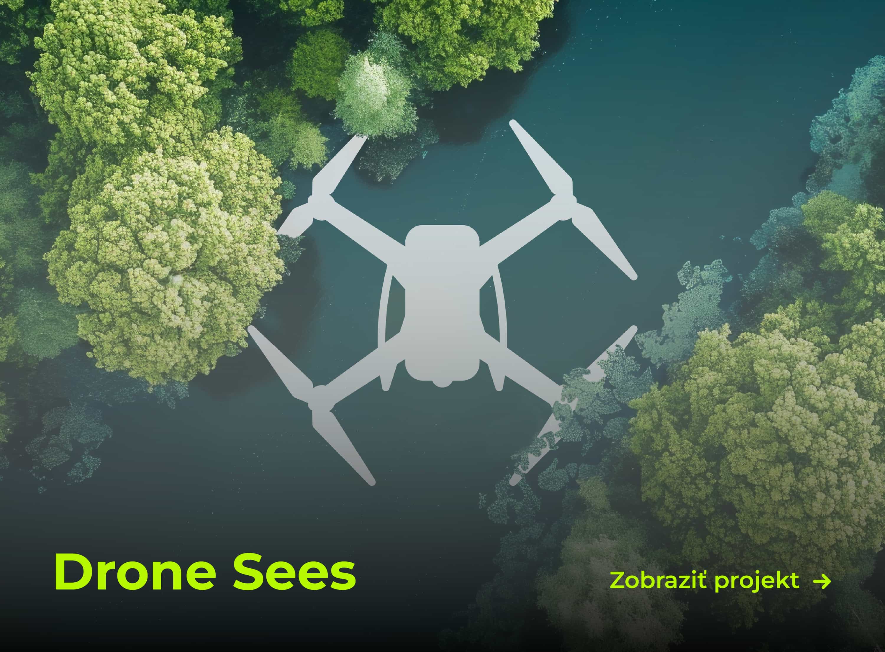 Návrh loga pre Drone sees.