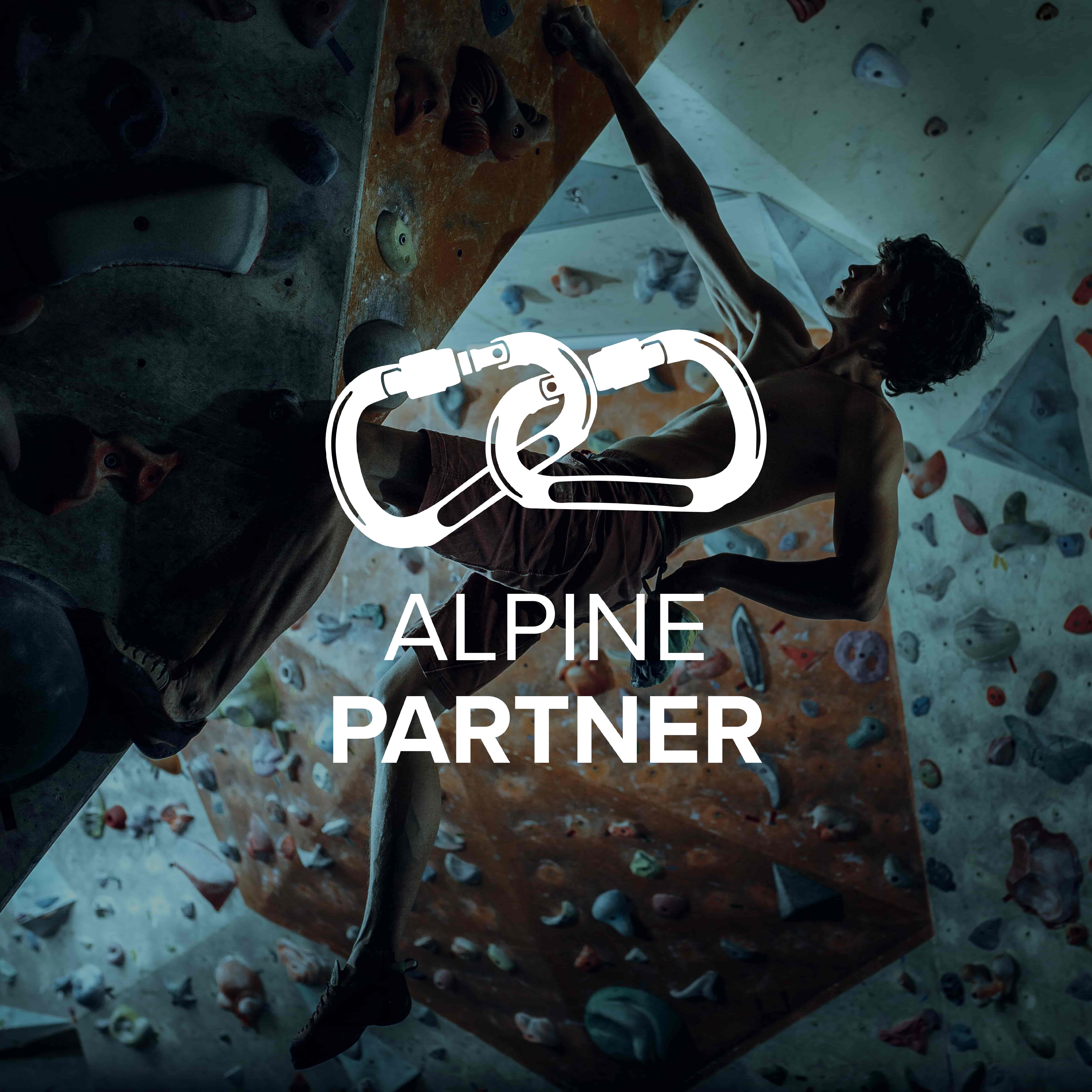 Logo Alpine Partner.